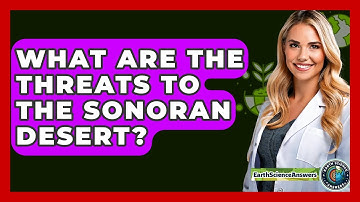 What Are The Threats To The Sonoran Desert? - Earth Science Answers