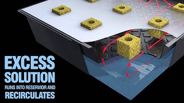 NFT Hydroponic System Gro-Tank GT Nutriculture