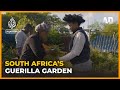 Guerrilla Garden: A food forest in Cape Town  l Africa Direct Documentary