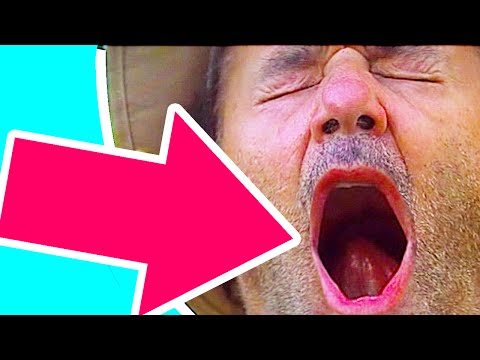 Почему зевание заразительно?