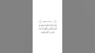 سورة المائدة ٦٢