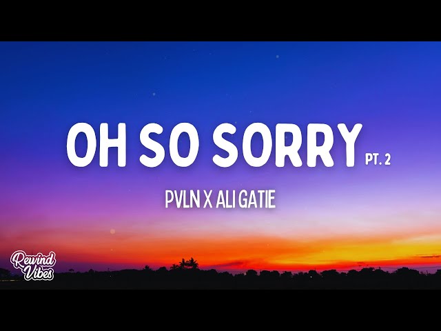 PVLN x Ali Gatie - Oh So Sorry Pt. 2 (Lyrics) "Girl I'm oh so sorry"