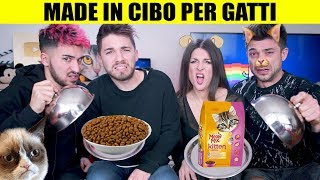 MADE IN CIBO PER GATTI  | Matt & Bise ft Luca and Katy