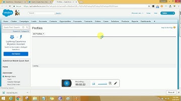 Salesforce Mass Email users