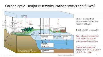 EMSC1006 W9 Lecture 2 Cycles Res Time Part 1