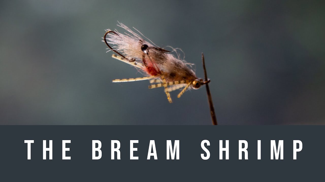 Fly Tying The Bream Shrimp YouTube