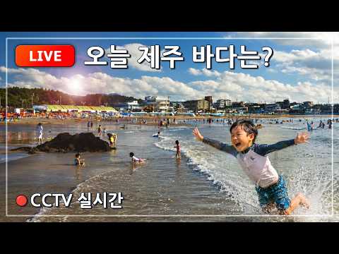 Jeju Island Beaches live cam preview