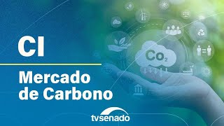 Ao vivo: Comissão de Infraestrutura debate programa de diesel verde para aviação – 25/4/24