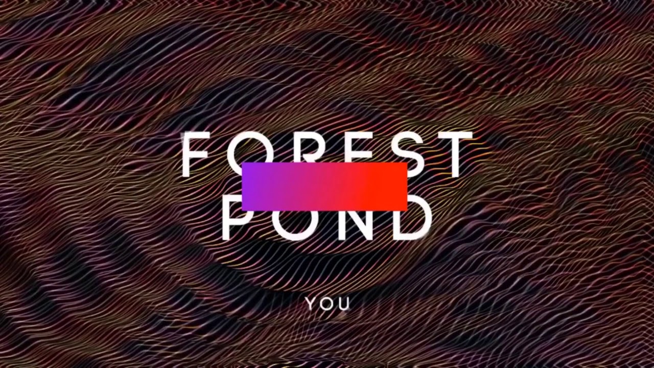 Watch Forest Pond - YOU. (video) on YouTube Watch Forest Pond - YOU. (video) on YouTube