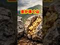 【ご当地不思議雑学・鹿児島編】伊佐市・菱刈鉱山「金が湧く山」　なぜここだけ出続けるのか