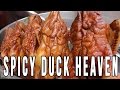 Chinese Street Food  2.0 (Chengdu, China) | Spicy Duck Hot Pot + More