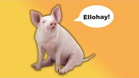 What Is Pig Latin—And What Does It Have to Do With Pigs?