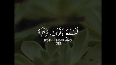 القارئ شريف مصطفى سورة (طه)