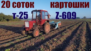 Трактор Т-25, Копалка Z-609 - 20 соток собрали за 3 часа Наконец - то выкопали картошку