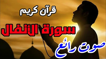 قرآن كريم - سورة الأنفال - صوت جميل جداً ومؤثر | نور الدين