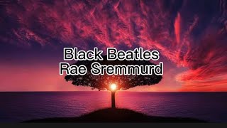 Rae Sremmurd - Black Beatles (lyrics)