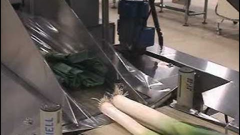 Leek, from soil to consumer