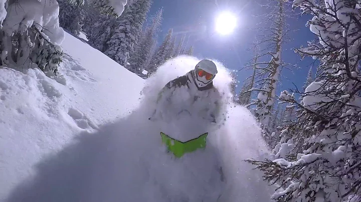 Brian McCleary/Backcou...  Snow Slayer