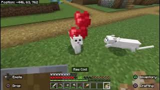 Broken Legs SMP: Hot and Hungry