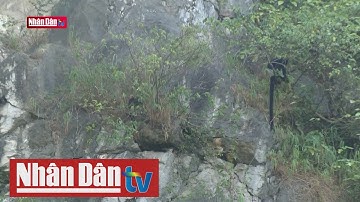 Bảo tồn đa dạng sinh học gắn với phát triển du lịch bền vững