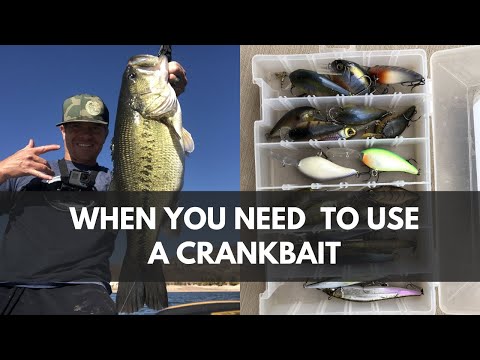 When You Should Use A Crankbait for Catching Bass 