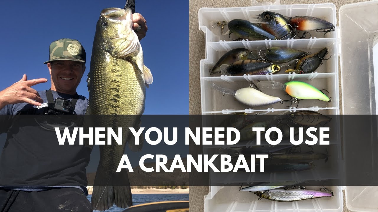 Watch Wakebait Tricks to Catch Bigger Bass Video on