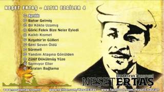 Neşet Ertaş - Ayrılık Resimi