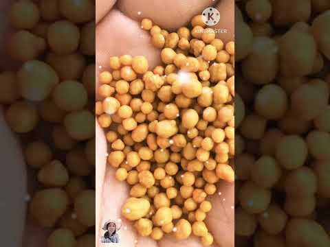 ทำไมต้องปุ๋ยละลายช้าใส่ใจต้นไม ต้นสมพงษ์ต้นไม้ใหญ่อายุ100ปี หล่มด้ง อุทยานแก่งเสือเต้นมาดามคันทรี่