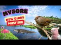 Mysore Part 1 | Bird Sanctuary  | Ranganathittu Bird Sanctuary | New Birds Must See | Karnataka Bird