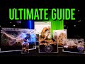Ultimate guide to tarantula enclosure setups