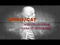 002. SPM12/CAT. Импорт DICOM-файлов. Преобразование в NIfTI-формат.