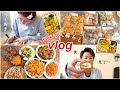 【vlog】お弁当の作り置き7品作る🍱とある1日vlog👨🏻🍳🍳【同性カップル】