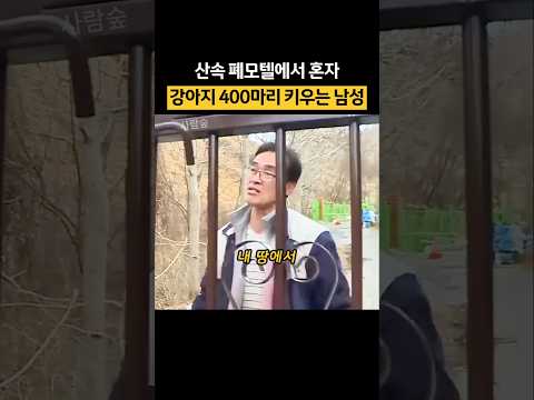 산속에서 혼자 강아지 400마리 키우는 이유 #뭉클 thumbnail