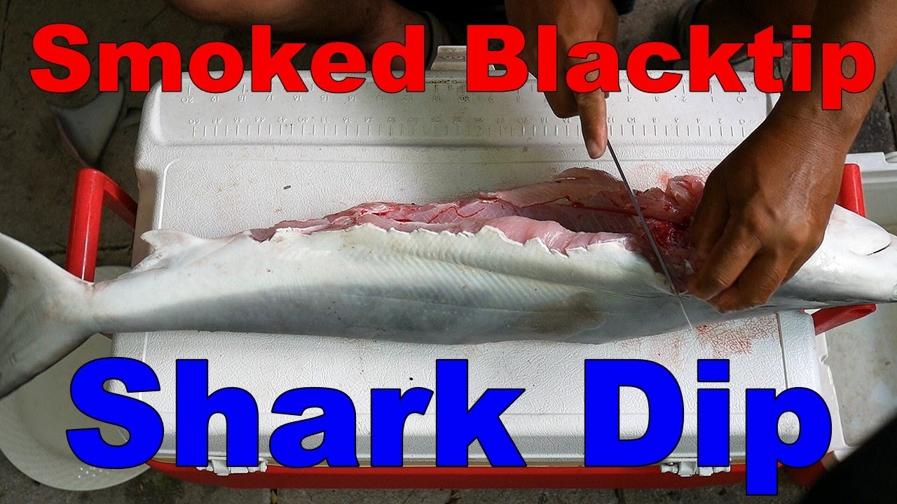 Smoked Blacktip Shark Dip Plus My Smoking Setup YouTube