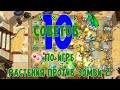 10 советов по игре Растения против Зомби 2
