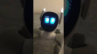 Loona Robot Q&A | Testing Limits of ChatGPT Conversational AI