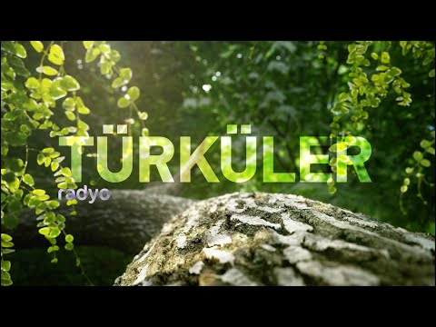 RADYO TÜRKÜLER (En Çok Dinlenen Türküler) #elapro