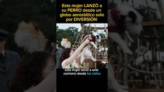 😢Esta mujer LANZÓ a su PERRO desde... #viral #pelis #moviemovie #pelicula #peliculas #viralvideos