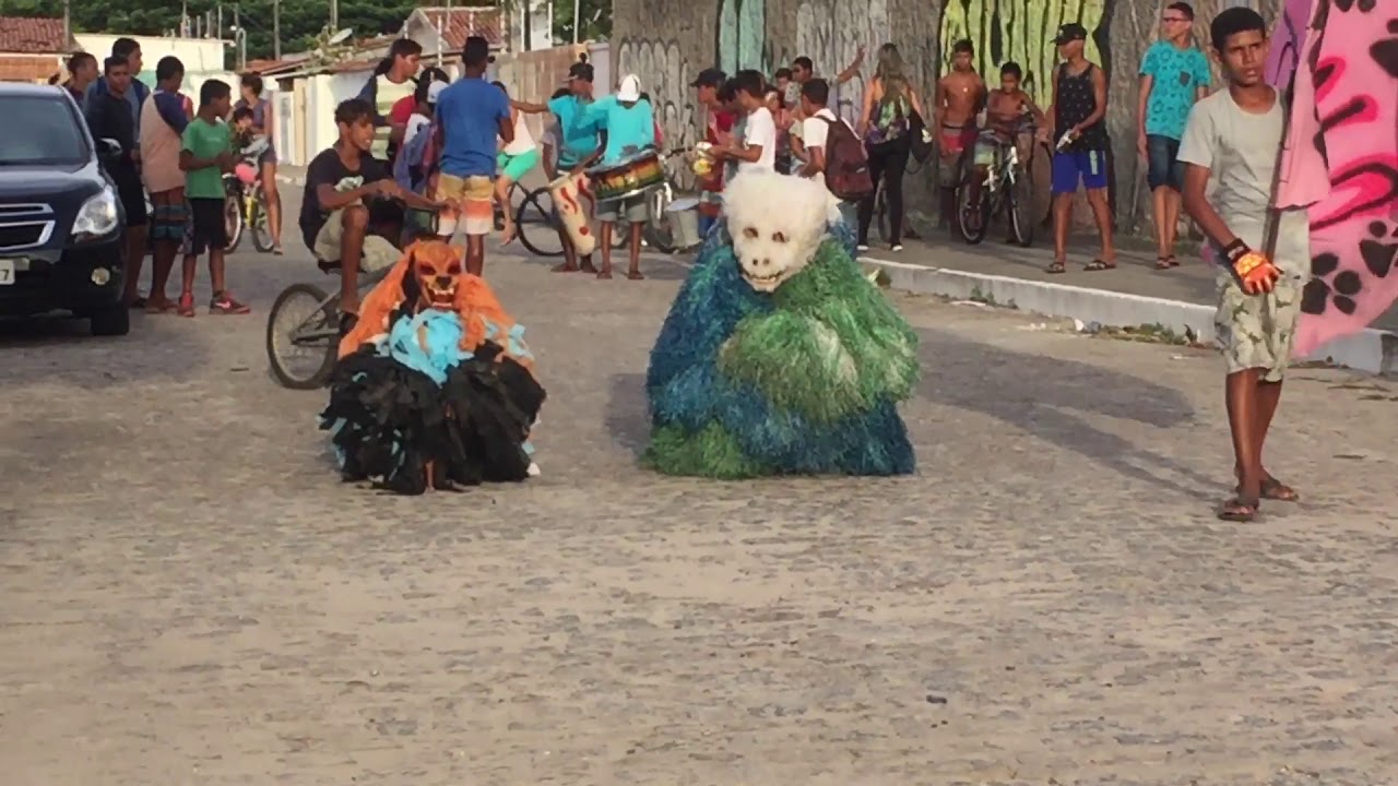 URSO CARNAVAL 2018 CABEDELO