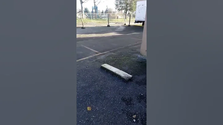 SUNRISE MARINE PROPERTIES