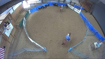 Big Sky Ranch Sorting Saddle Series #4 - YOUTH RANCH HAND - Round #1 - Ride #13