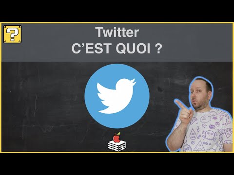 Vidéo: Qu'est-ce Que Twitter