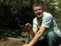 The Backyard Retreats presents The Backyard Retreats presents