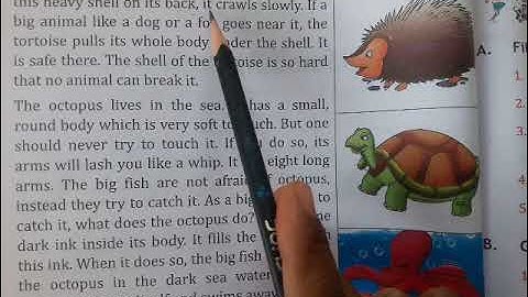 c4 Eng Ch- 8 Small Animals