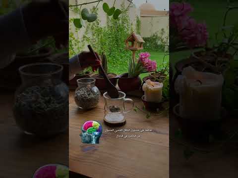 افضل عشبة لتقوية الذاكرة الميرمية Shorts نور الخالدي دايت الصحة Healthy 