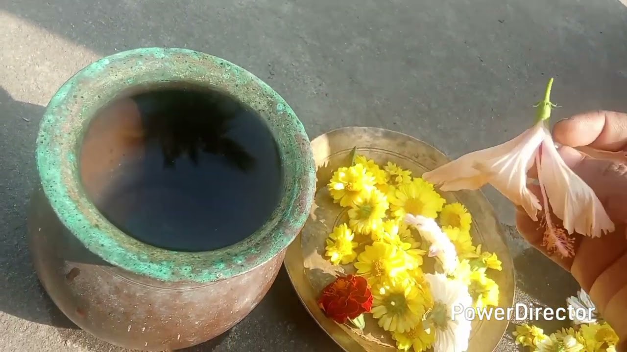 ଠାକୁରଙ୍କ ଛଡା ଫୁଲ କୁ କଣ କଲି 