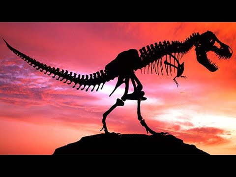 5 Mass extinction on Earth || Explore The World