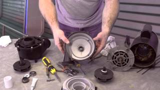 LX Series Guangdong Pump WUA 200 300 400 How To Repair The Spa Guy