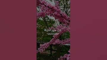 تلاوة هادئة تريح الأعصاب 😴🎧 القارئ: ناصر القطامى سورة: فصلت ❤💙