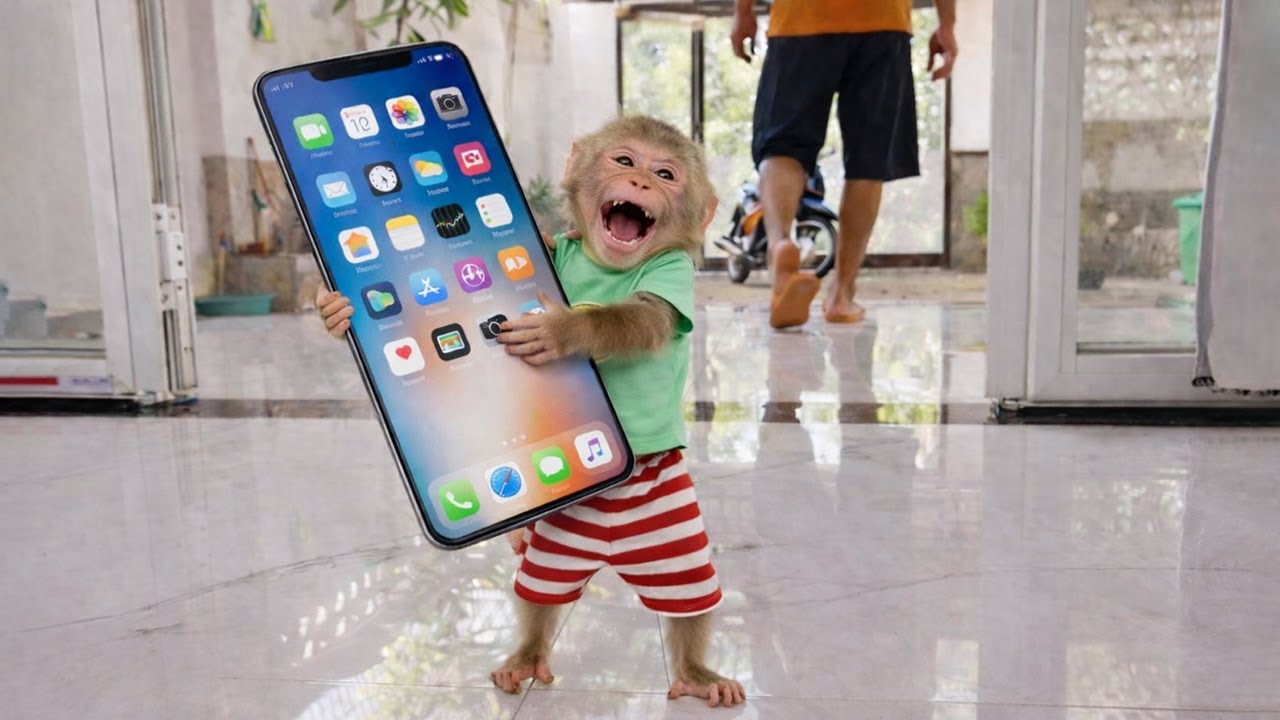 Кё пытается взять телефон папы, чтобы посмотреть видео — её план просто уморительный! 😂